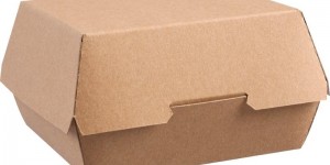 ge803-disposable-kraft-burger-boxes-large